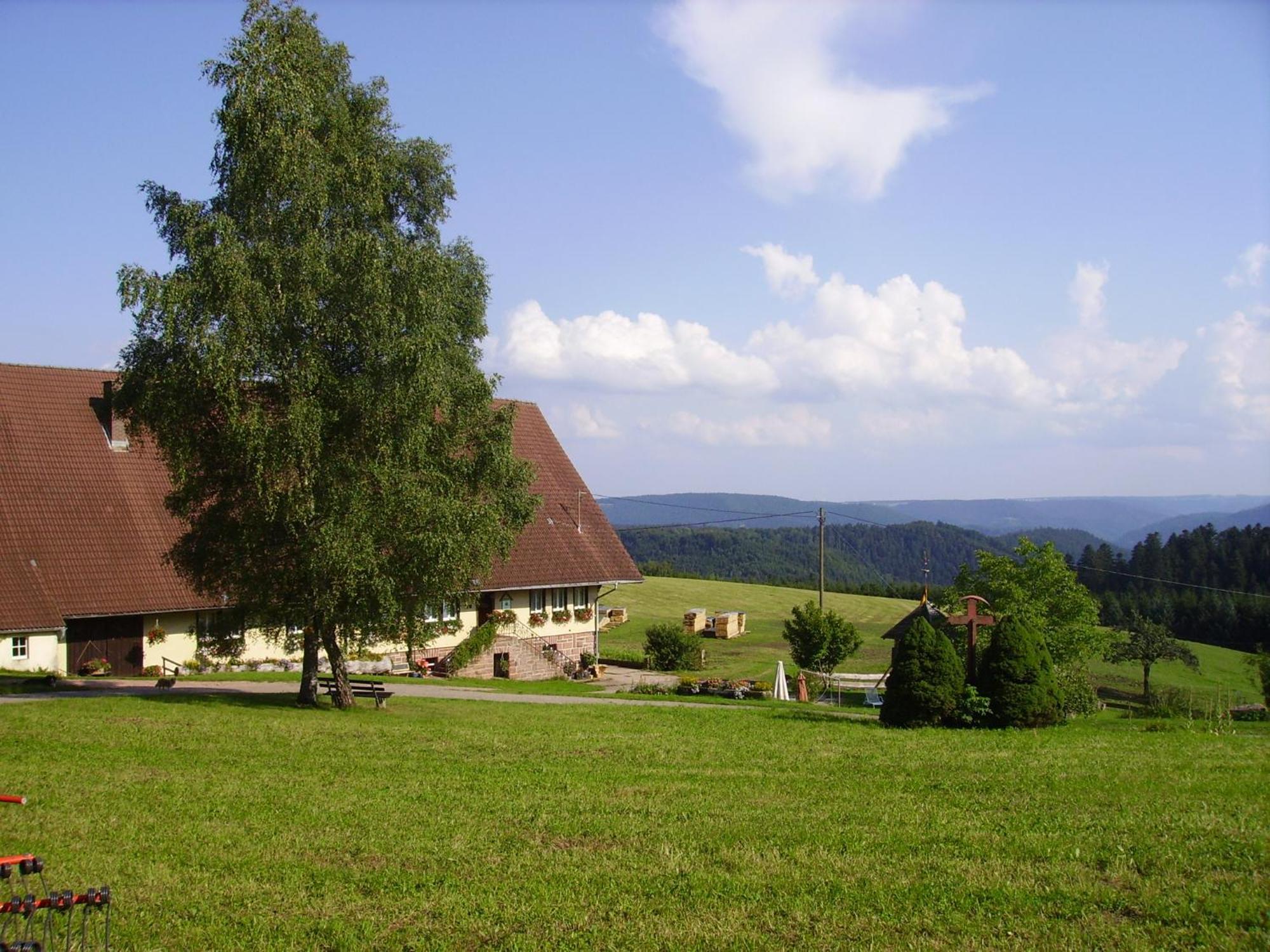 Villa Aeckerhof Wolfach Exterior foto